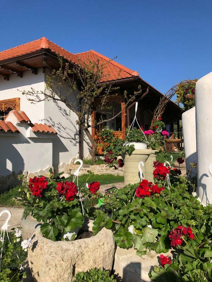 Conacul Grigorescu Ratesti Exteriör bild